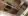Altana_Monia_commin Kitchen.jpg.webp